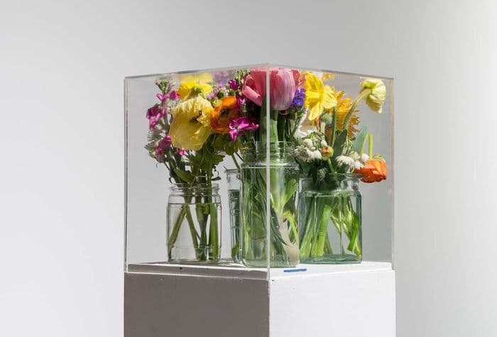 Visite commentée "Twilight zone" de l'exposition "Pollen"