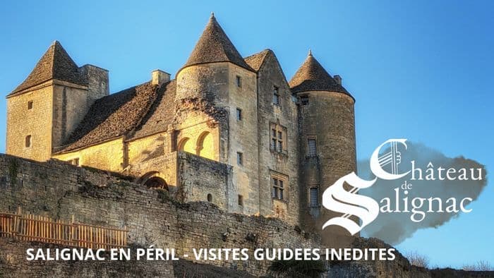 Salignac en péril : dans les coulisses du sauvetage d'un château millénaire