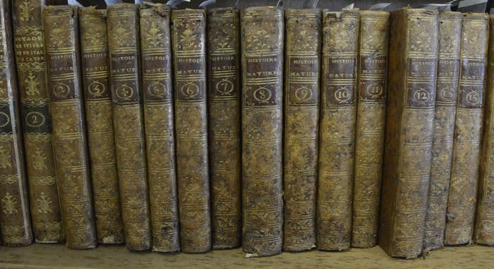 Découvrir une bibliothèque patrimoniale