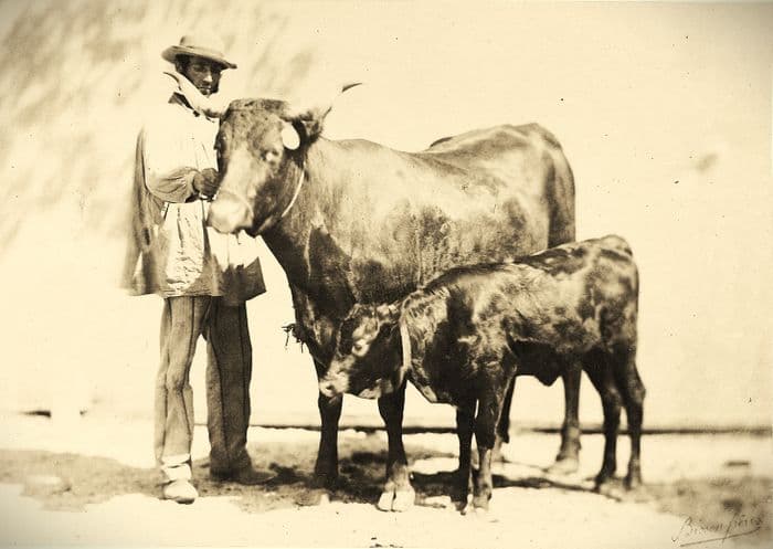 200 ans d'agriculture française à travers la photo