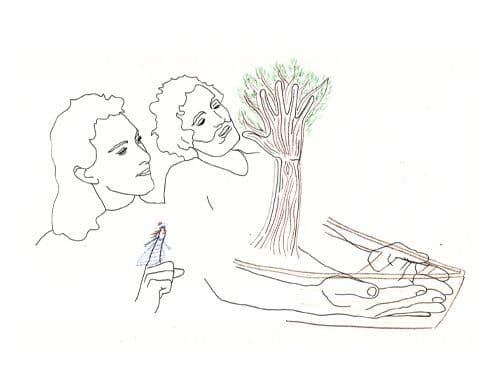 Myla et l’arbre-bateau