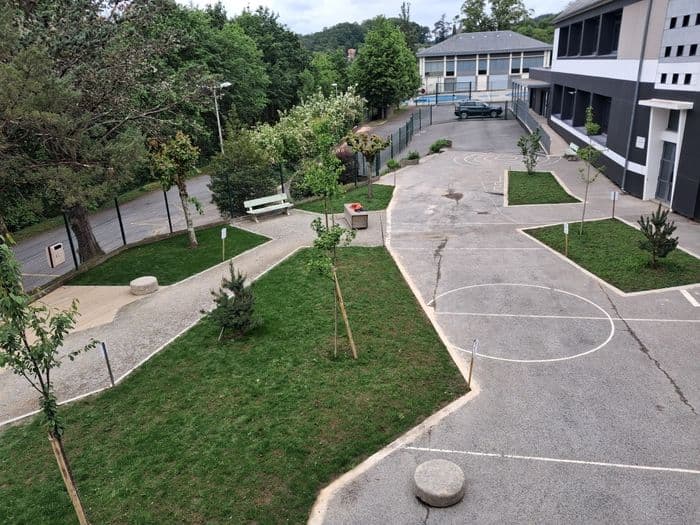Visite-projet : végétalisation des cours d’écoles
