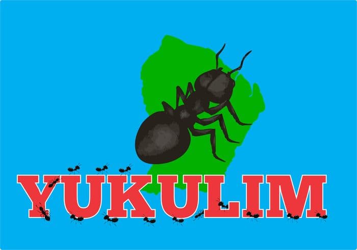 Atelier de langue Kali’na – Association Yukulim