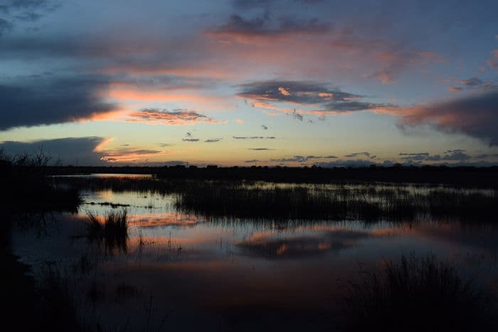 Visite guidée en zone humide de Camargue
