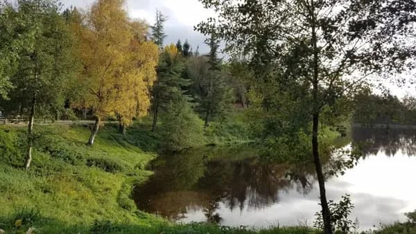 Aire de pique-nique du lac de la Prade