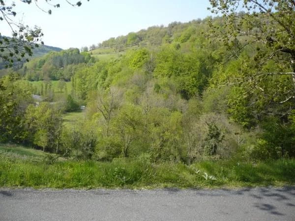 Aire de pique-nique