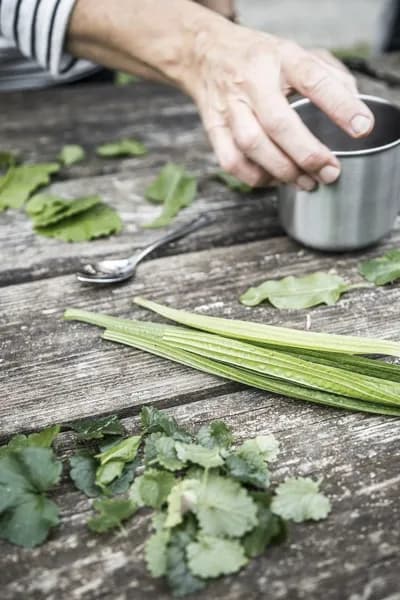 Besoin de Nature - Cuisine et Nature