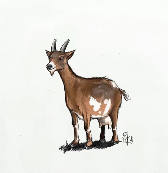 GAEC du chèvre d'Olt