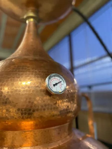 Les Potions d'Oc