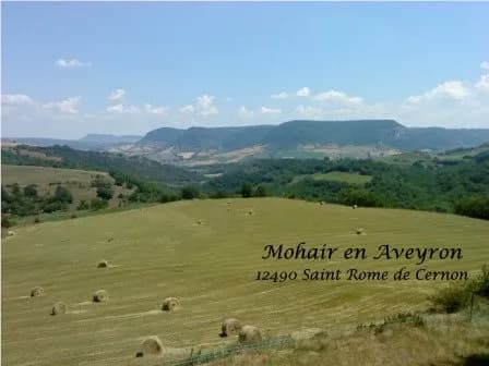 Mohair en Aveyron - Paysage de l'exploitation