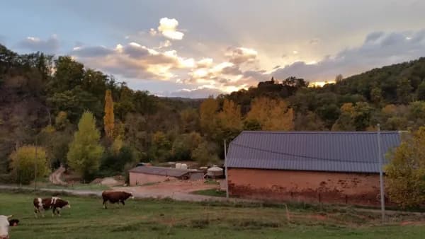 Ferme des Aza Lait