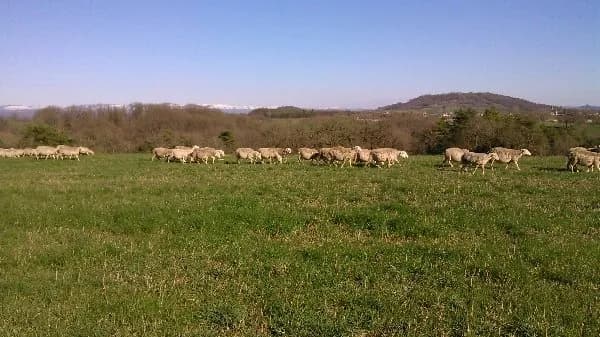 Ferme de Mayrinhac
