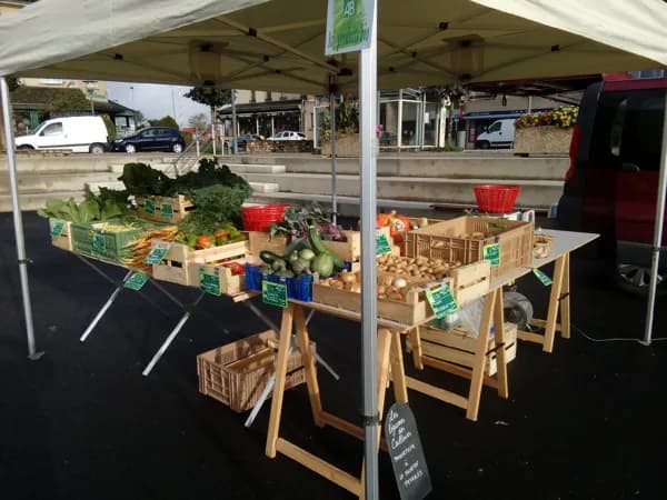 Les légumes des cailleries