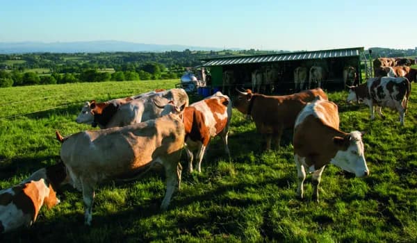 Coopérative Fromagère Jeune Montagne