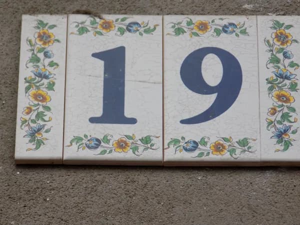 Le 19