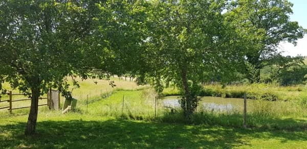 Les Esparrages