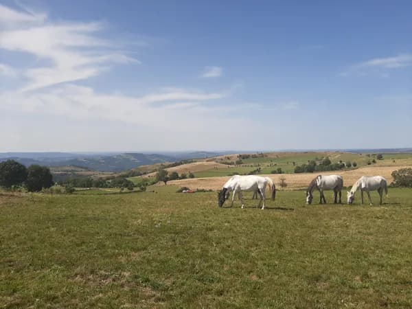 Balades d'Olt à l'Aubrac