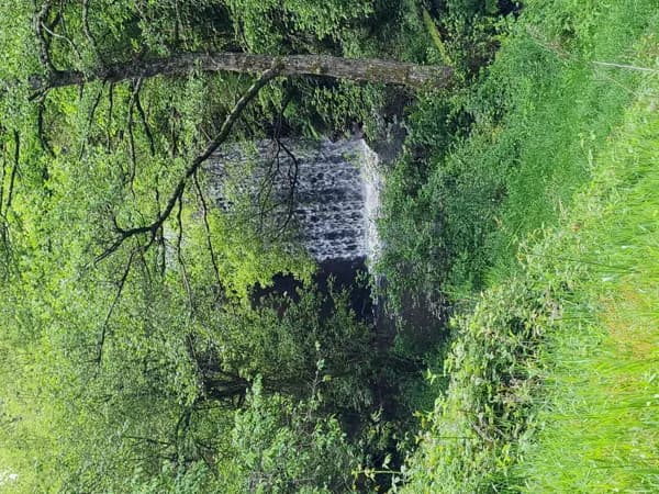 Camping Le Glandou