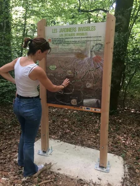 Sentier d'interprétation du bois du Bruel à Vabre-Tizac