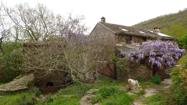 Gîte du Bosc