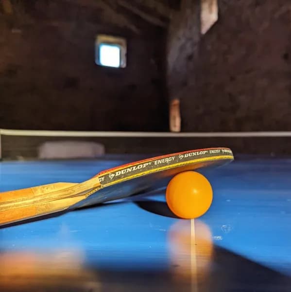 Table de ping-pong Le Logis Fleuri