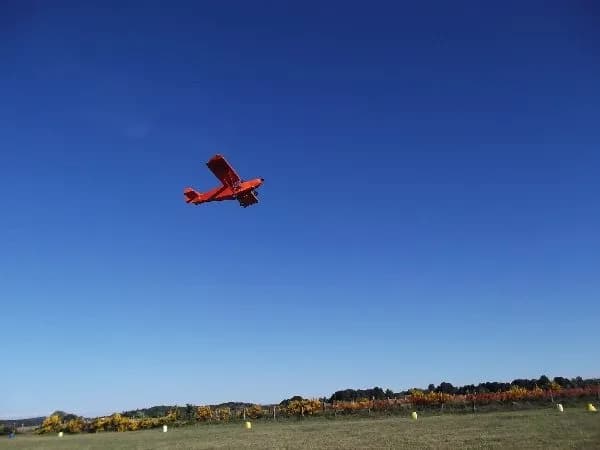 BASC activités ULM