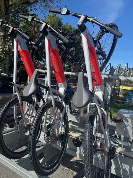 Noryeva Location de VTT électriques à la Ferme du Lévézou