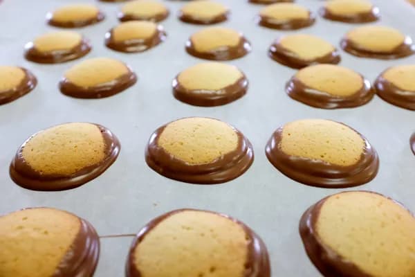 Biscuiterie du Camarès