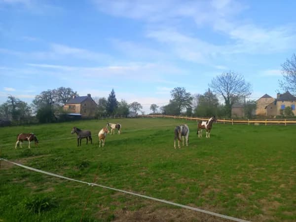 Chambres d'hôtes Coeur de Bastié - Ranch du Lévézou