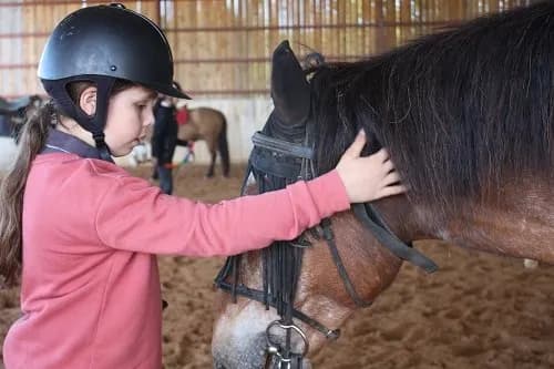 Ferme équestre de Saint Gauzy : Poney Club et Equithérapie