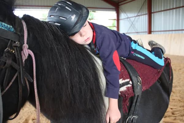 Ferme équestre de Saint Gauzy : Poney Club et Equithérapie