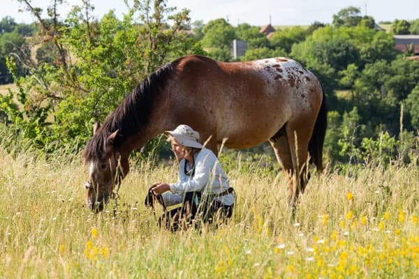 Ferme équestre de Saint Gauzy : Poney Club et Equithérapie