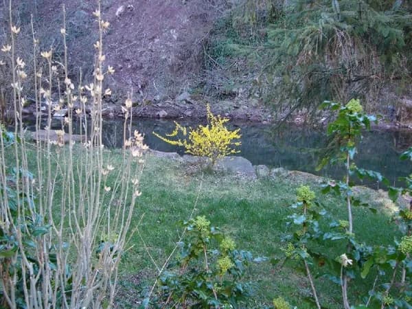 Le Moulin