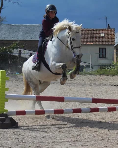 Ségala Lévézou Equitation