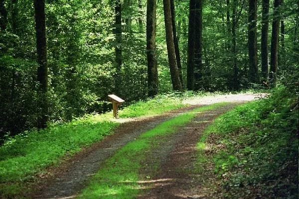 Sentier d'Interprétation de la Hêtraie