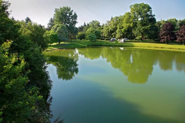 Lac au coeur d'un écrin de verdure