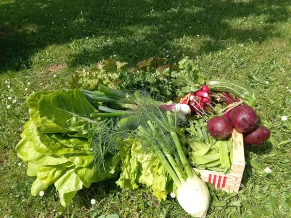 Uniquement des produits de saison!