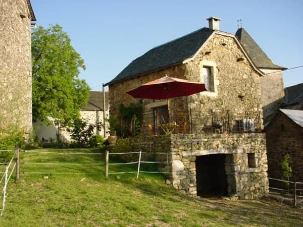 La belle poule faverolle