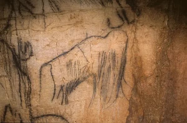 Grotte du Pech Merle