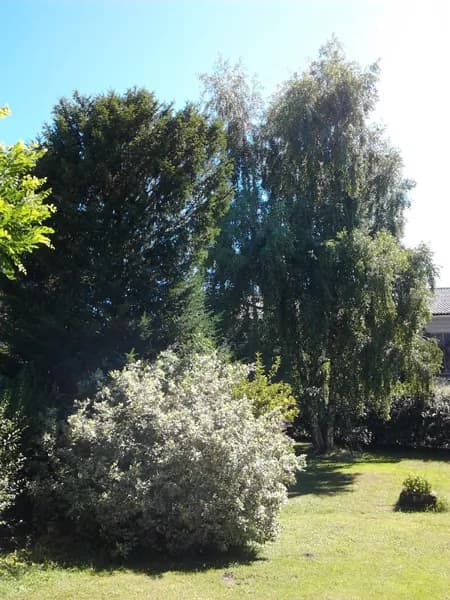Le Gîte de Campuac - Anne-Marie Viguier