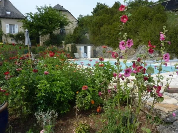 La piscine entourée de fleurs