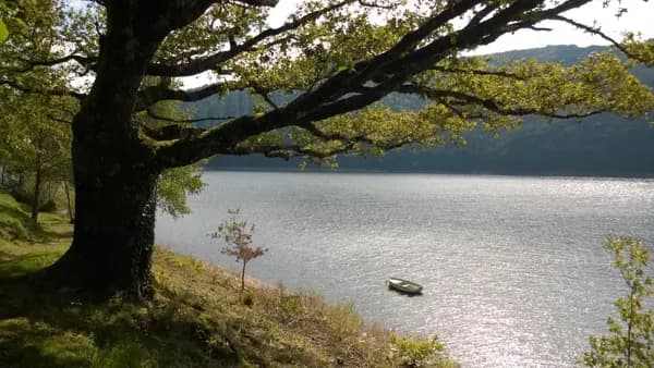 Vu le lac de Sarrans, terrasse du Chalet du Lac