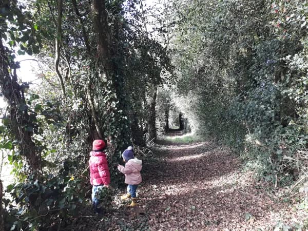 Mini rando: "le tunnel de verdure"