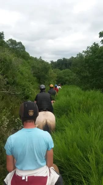 randonnées "aventure" au centre équestre de daoudou, immergé dans la nature!
