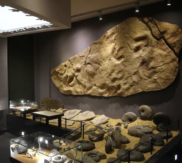 Musée de Millau Grands Causses