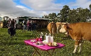 Coopérative Fromagère Jeune Montagne (groupes)