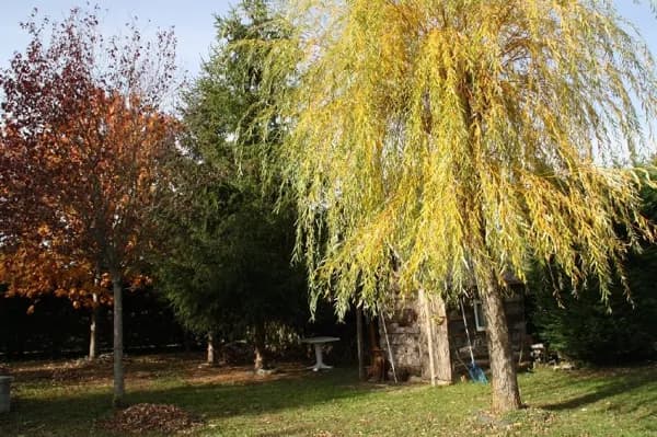 Gîte d'étape L'antidote