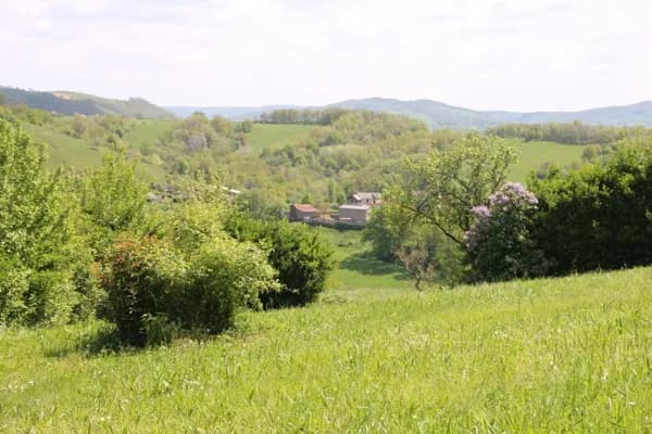 Vue