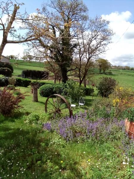 une vue du jardin