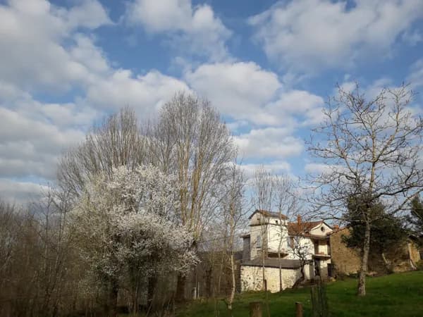 Duc Manoir